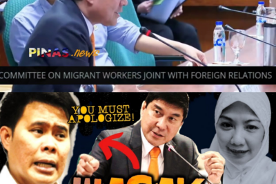 Hustisya Laban sa Kapabayaan: Ang Matinding Pagwasak ni Raffy Tulfo sa Legal na Kredibilidad ni Atty. Castillon Kaugnay ng Trahedya ni Jullebee Ranara