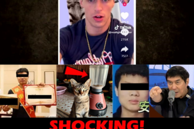 HORROR SA SOCIAL MEDIA: Chinese Food Vlogger, Natukoy na Suspek sa Brutal na Pagdurog sa Pusa Gamit ang Blender; Galit ng Mundo, Bumuhos sa Kabangisan!
