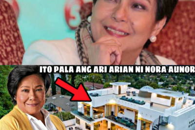 Hindi Akalaing Yaman: Siya Pala! Ang Lihim na Tagapagmana at Ang Kabuuang Ari-Arian ni Superstar Nora Aunor na Kumikislap sa Dilim