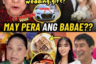 Sikretong Rebelasyon: Chelsea Elor at ang Kontrobersyal na Luxury Car Gift para kay Senador Raffy Tulfo — Paano Ito Na-Afford ng Isang Vivamax Artist? bb