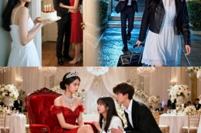 Mula sa Penthouse Patungong Paglaya: Ang Nakakanginig na Rebelasyon sa Likod ng Pag-alis ni Harper at ang Pagbagsak ni Lucas Ellison bb