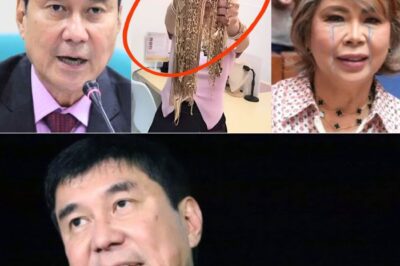 Giyera sa Alahas at Usaping Hiwalayan: Ang Katotohanan sa Likod ng Kontrobersiyang Bumabalot kina Sen. Raffy at Jocelyn Tulfo NH